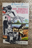 CUM INDEMULT BUCURESTII PETRECEAU-MIRCEA CONSTANTINESCU