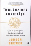 IMBLANZIREA ANXIETATII. CUM SA OPRIM SPIRALA INGRIJORARII SIA FRICII CA SA NE VINDECAM MINTEA-JUDSON BREWER-340178