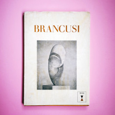 Constantin Brancusi album arta catalog carte Sidney Geist Guggenheim 1969