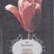 AS - V.C. ANDREWS - GRADINA UMBRELOR