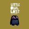 Little Owl Lost