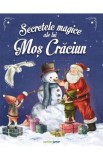 Secretele magice ale lui Mos Craciun - Emmanuelle Lepetit