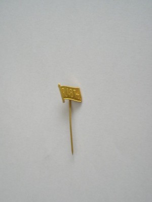 QW9 N2 33 - insigna - militar - transmisiuni - Regimentul 48 transmisiuni foto