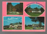 CPIB 17297 CARTE POSTALA - POIANA BRASOV. MOZAIC, Circulata, Fotografie