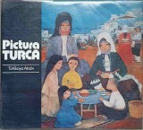 Pictura Turca: Album de Arta Turkkaya Ataov, Meridiane 1979, Coperta Cartonata, 96 Pagini