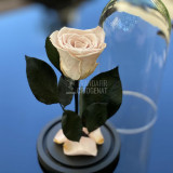 Cumpara ieftin Trandafir Criogenat roz pal &Oslash;6,5cm in cupola de sticla 10x20cm
