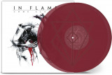 Come Clarity - Transparent Violet | In Flames