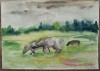 Bivolite la Valea Craiesei// acuarela nesemnata, Portrete, Cerneala, Altul