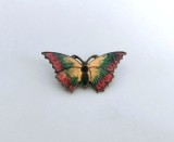 Brosa reprezentand un fluture in cromatica vie