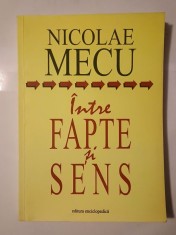 Nicolae Mecu (dedicație) - &Icirc;ntre fapte și sens: studii și eseuri de istorie literară