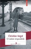 O iubire imposibila - Christine Angot - Eseu de critica literara