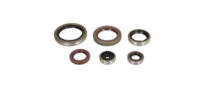 Set simeringuri motor Beta 250 300 RR 14- 17 P400060400011 foto