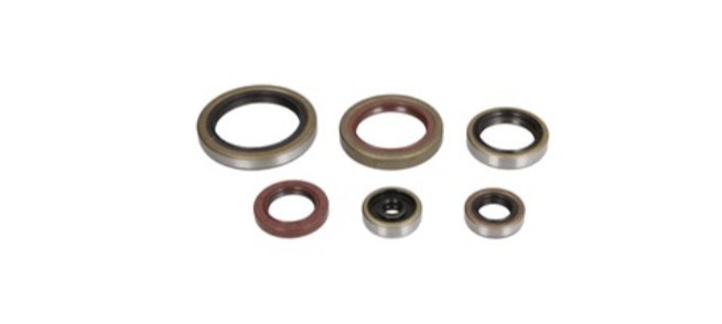 Set simeringuri motor Beta 250 300 RR 14- 17 P400060400011