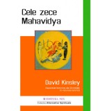 Cele zece Mahavidya - David Kinsley