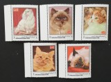 YEMEN K. - PISICI-serie 5 valori-DANT. NEOBLIT.MNH**.- YK 009A, Asia, Fauna