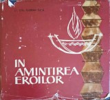 IN AMINTIREA EROILOR-FLORIAN TUCA-244289