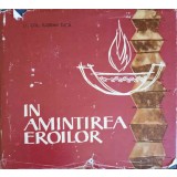 IN AMINTIREA EROILOR-FLORIAN TUCA-244289