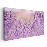 Tablou peisaj flori de lavanda 1791 Tablou canvas pe panza CU RAMA 30x60 cm