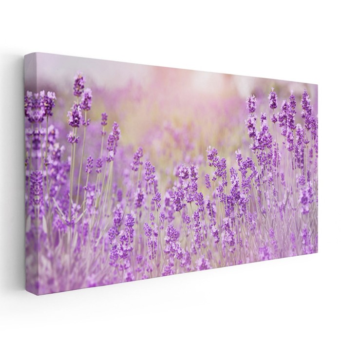 Tablou peisaj flori de lavanda 1791 Tablou canvas pe panza CU RAMA 70x140 cm