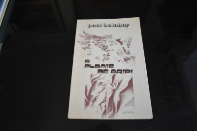 Paul Balahur - O ploaie de aripi (1985) foto