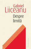 Despre limită - Paperback brosat - Gabriel Liiceanu - Humanitas