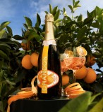 Chandon Garden Spritz 0.75L