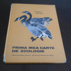 PRIMA MEA CARTE DE ZOOLOGIE - EVGHENI CEARUSIN,1980