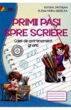 Primii pasi spre scriere. Caiet de antrenament grafic - Estera Tintesan, Elena-Mura Nedelea