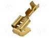 Terminal tip plat, pentru surub {{Orificiu pentru &amp;#351;urub}}, BM GROUP - BM 01198