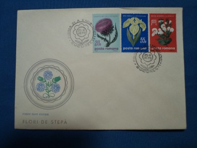 FDC FLORI DE STEPA foto