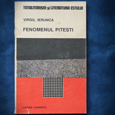 FENOMENUL PITESTI - VIRGIL IERUNCA foto