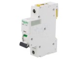 &Icirc;ntrerupător de Supracurent 10A 1P 230V Caract C