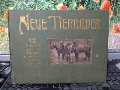 Neue Tierbilder, 12 Farbdrucke nach Original Zeichnungen von W. Heubach..., 135 foto