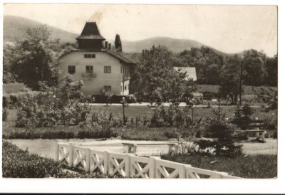CPIB 17490 CARTE POSTALA - VEDERE DIN MALNAS foto
