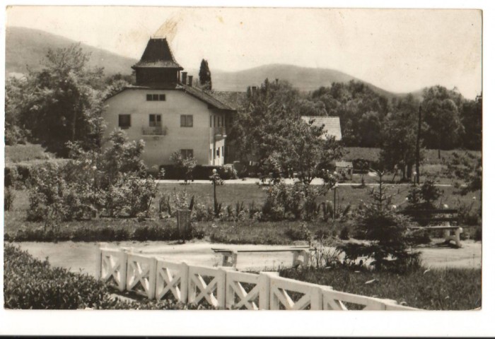 CPIB 17490 CARTE POSTALA - VEDERE DIN MALNAS