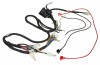 Instalatie Electrica Scuter 4T 49cc 50cc 80cc Compatibila Roata 10