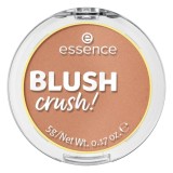 Blush Crush! 10 - Caramel Latte, 5g, Essence