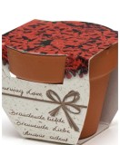Greengift Terracotta Terracotta Burning Love Kit Gradinarit