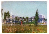 MAMAIA TEATRUL DE VARA EX 50000 BUC