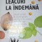 LEACURI LA INDEMANA , 2005