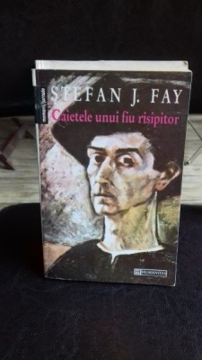 CAIETELE UNUI FIU RISIPITOR - STEFAN J. FAY foto