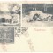 462 - BAIA-MARE, minerit, Litho, Romania - old postcard - unused