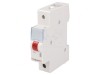 Lampă de control LED roșie 230VAC pentru șină DIN