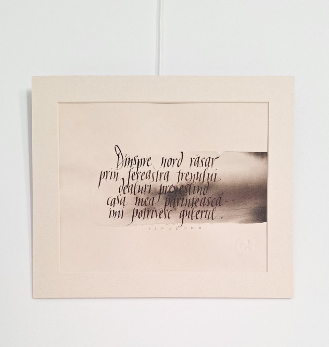 Bogdan Tănase Marinescu - Italics meet Haiku - Haiku Takuboku, 2024