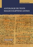 Antologie de texte magice egiptene antice - Paperback brosat - Miron CIH&Oacute; - Editura Universității din București