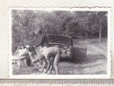 bnk foto La picnic - Skoda 100