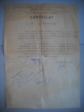 HOPCT DOCUMENT VECHI 404 CERTIFICAT ARHIVELE STATULUI M I BOTOSANI 1961, Romania 1900 - 1950, Documente