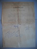 HOPCT DOCUMENT VECHI 404 CERTIFICAT ARHIVELE STATULUI M I BOTOSANI 1961, Romania 1900 - 1950, Documente