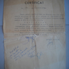 HOPCT DOCUMENT VECHI 404 CERTIFICAT ARHIVELE STATULUI M I BOTOSANI 1961