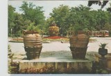bnk cp Braila - Vedere din parc - circulata